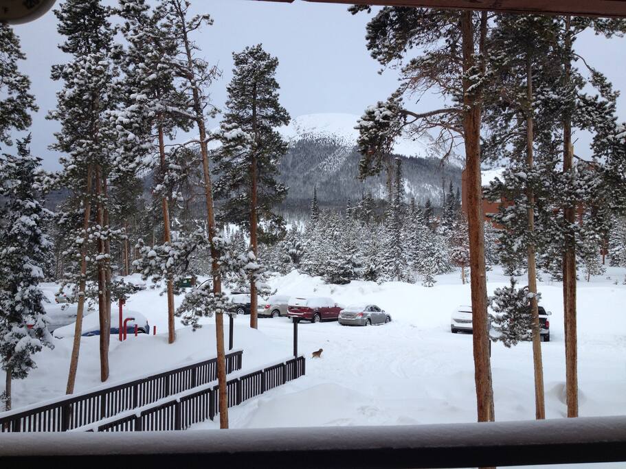 From Our Deck in Ski Season.