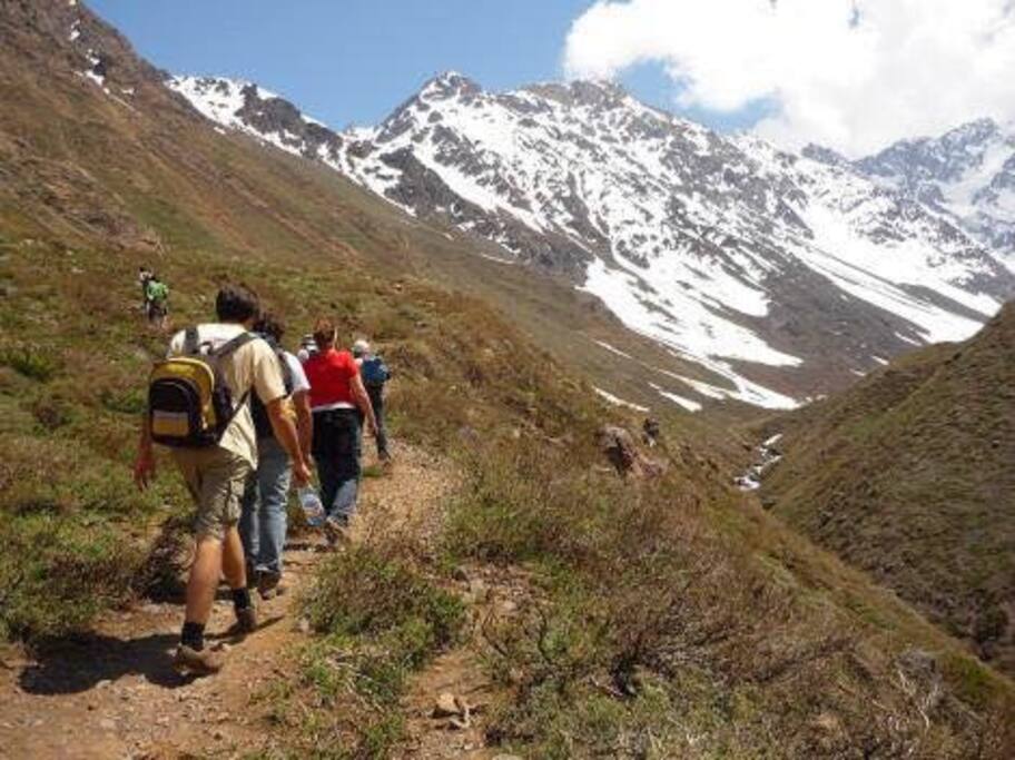 Variedad de actividades con diferentes grados de dificultad