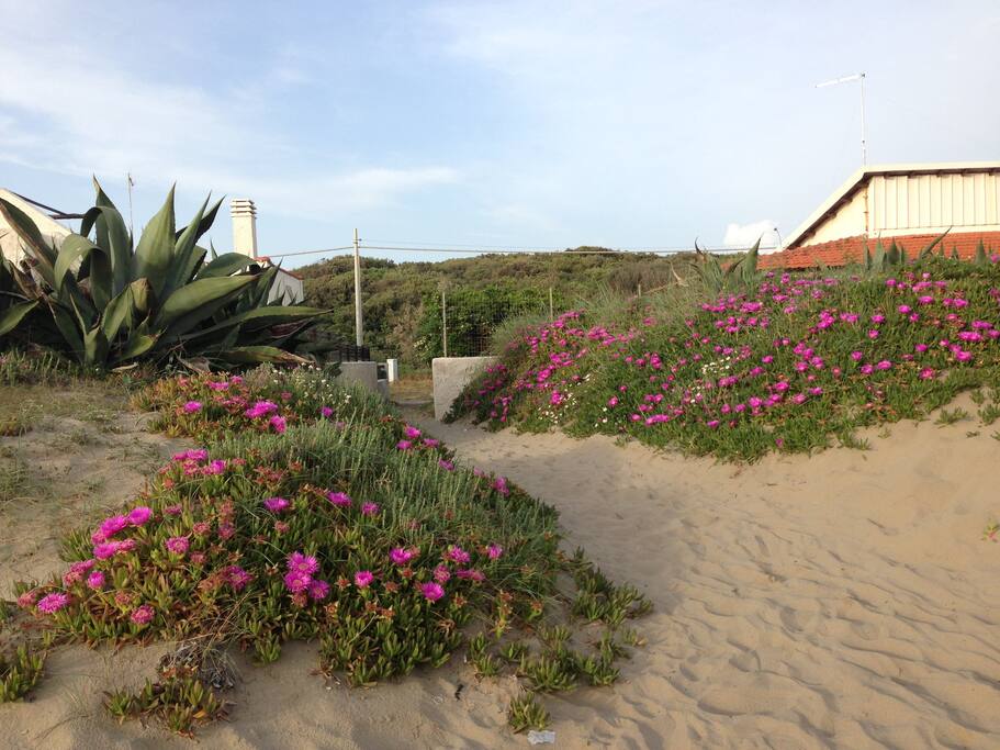 la spiaggia