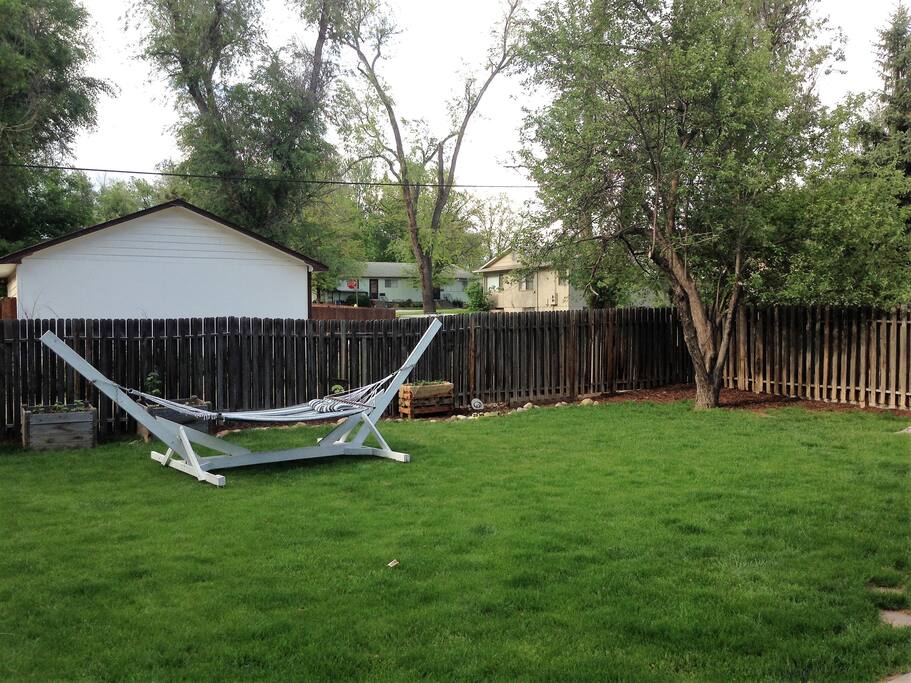 Backyard with hammock