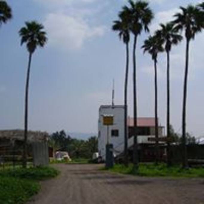 The farm