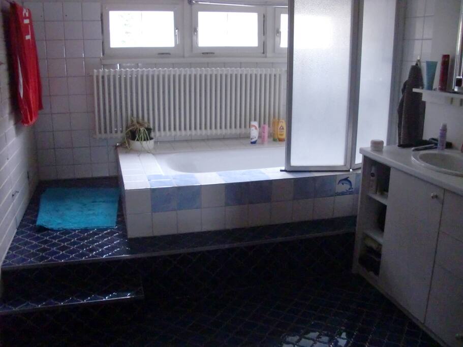 Badezimmer/ bathroom