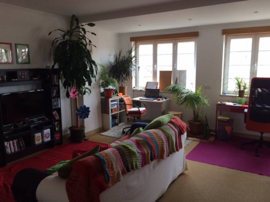 Luminous living-room... looking East... sunny mornings...