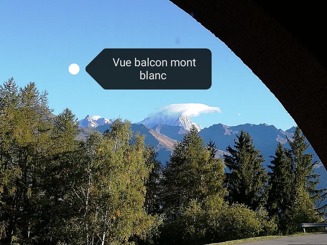 A view from the balcony displays the snow-capped peaks of Mont Blanc surrounded by lush trees. The clear sky enhances the scenic landscape, providing a sense of tranquility and connection to nature.