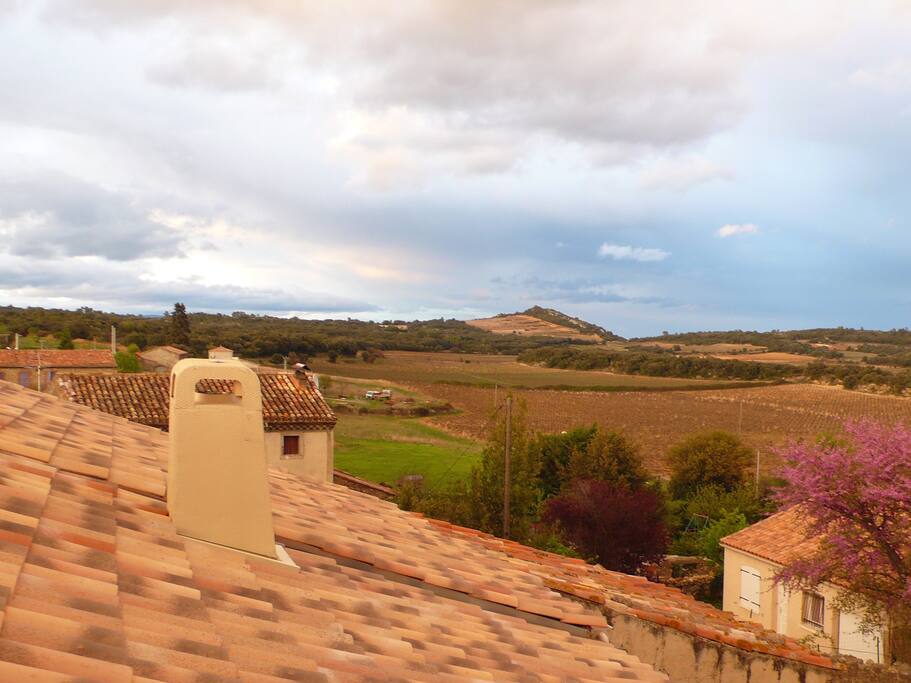 Overlooks vineyards galore