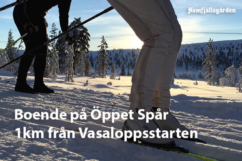 Lediga platser och rum på Vasaloppet-ÖppetSpår