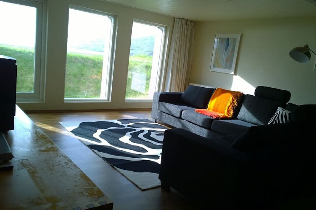 Living room with DVD