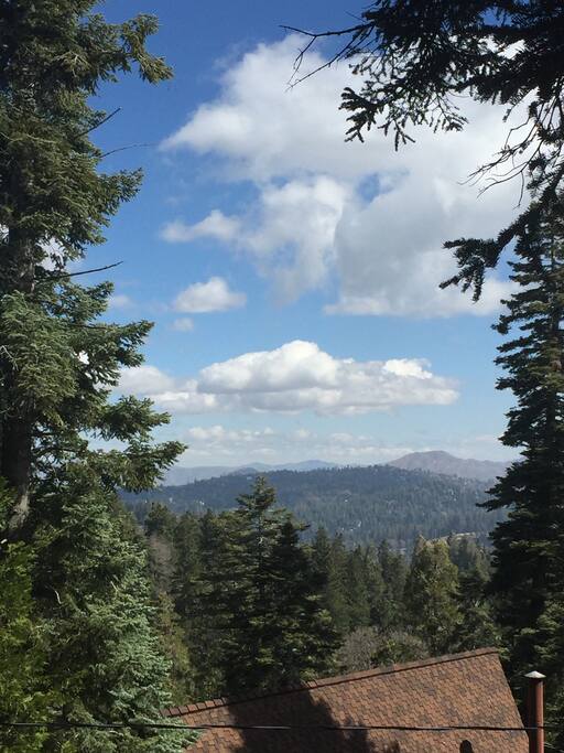 View from Living Room Window