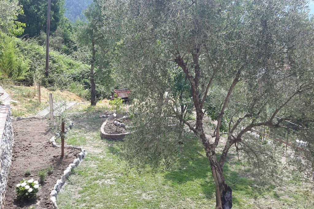 giardino