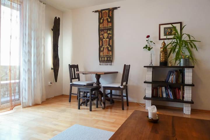 Zentrale Stadtwohnung Nahe Pinakothek Wohnungen Zur Miete In Munchen Bayern Deutschland