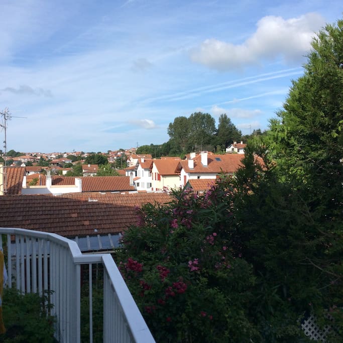 View from terrace
