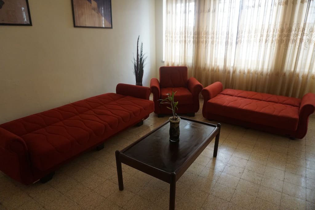 Living rooms with sofa beds extended
