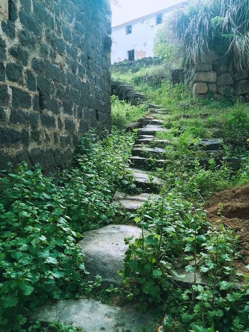 屋后的山间小路,百年的磨练变得圆润光洁如玉