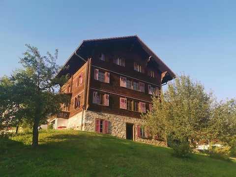 Fully peaceful WOODEN HOUSE, Surselva