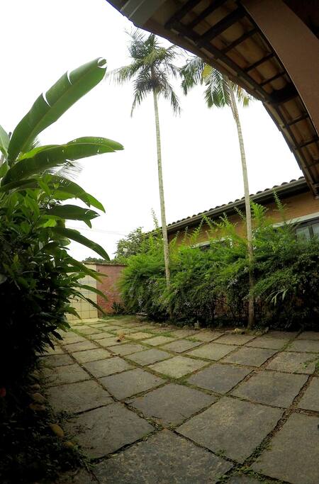 Jardim com árvore de açai.