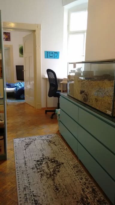 This is where we study...