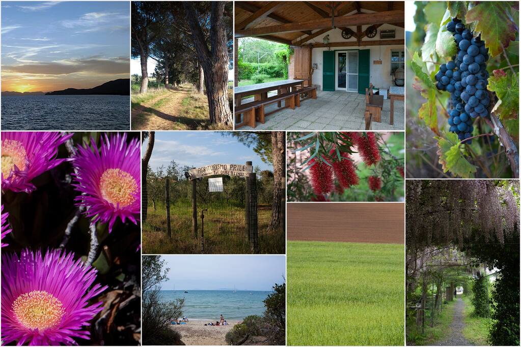 Agriturist Prile - Collage