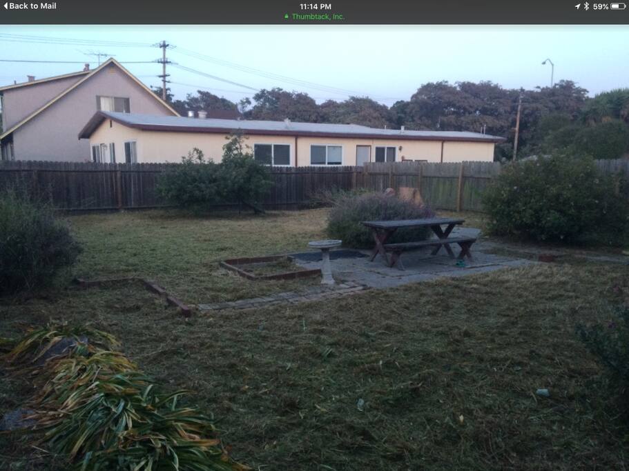 Huge yard with apple tree