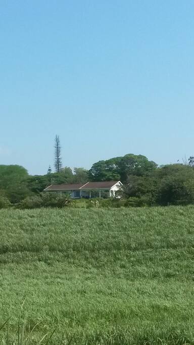View of the house