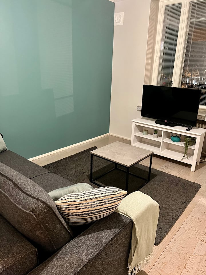 Cozy Downtown Studio Apartments for Rent in Helsinki, Finland Airbnb