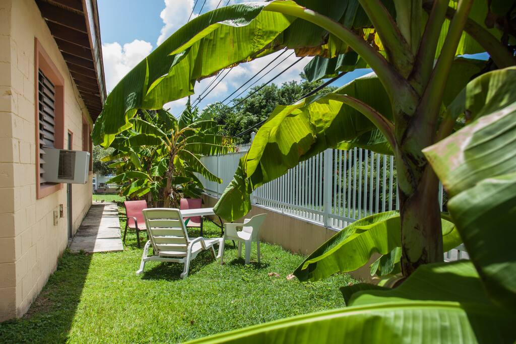 Entrance to the apartment and one of the spaces to enjoy the yard and it's fruits
