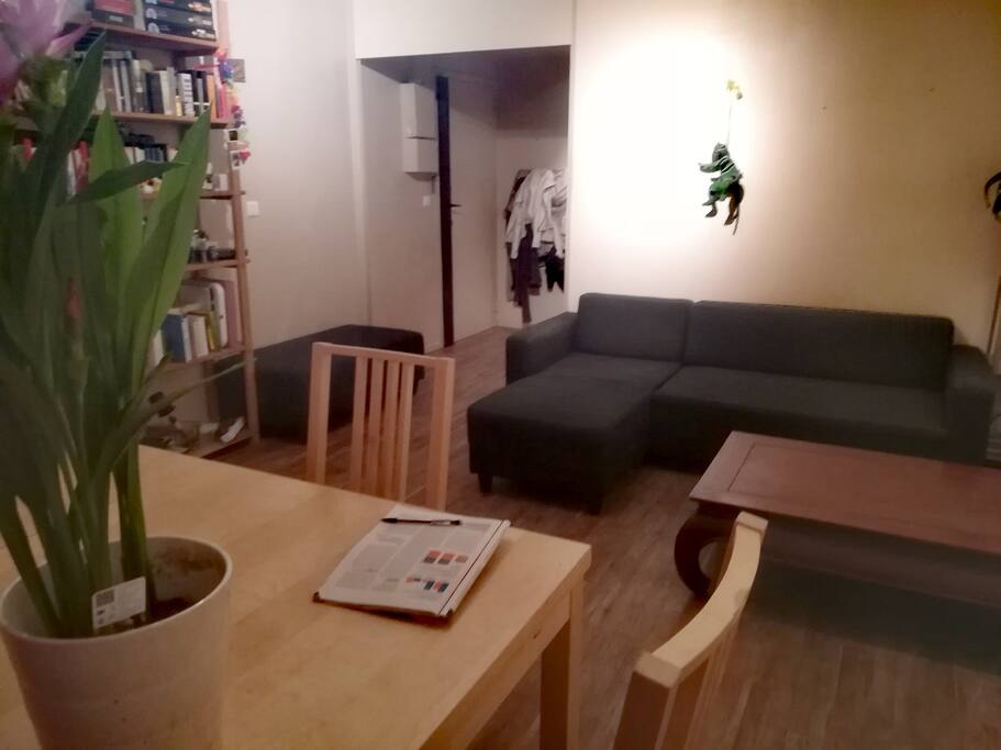 Salon - Living room
