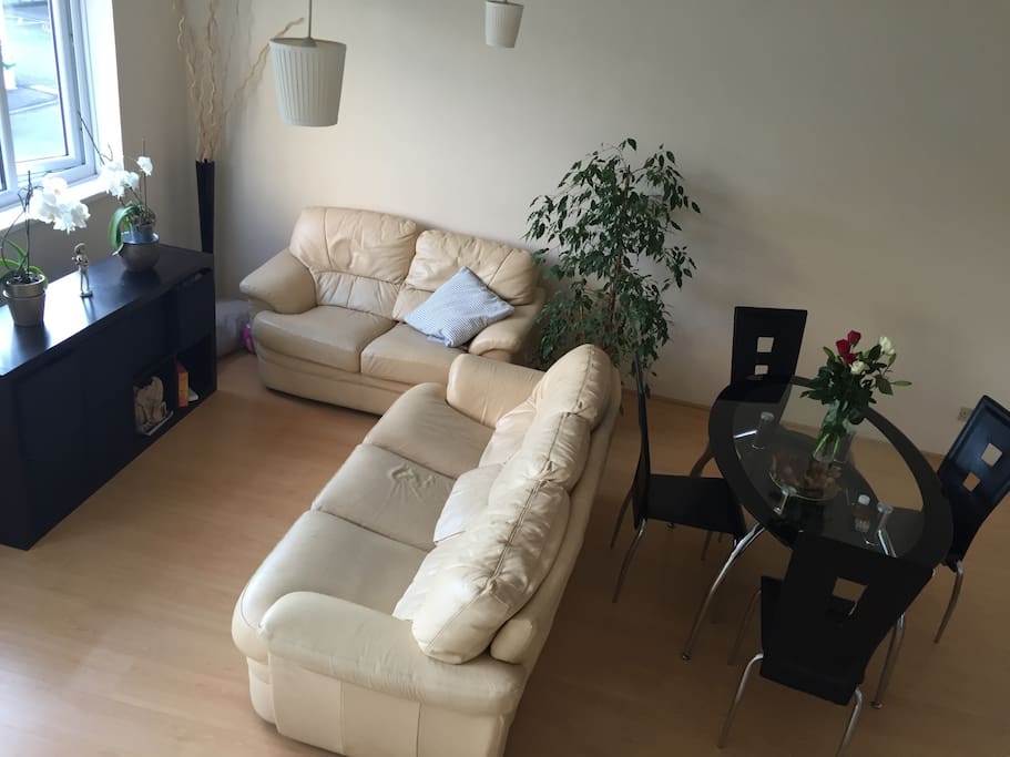 Spacious / bright living room ( communal area )