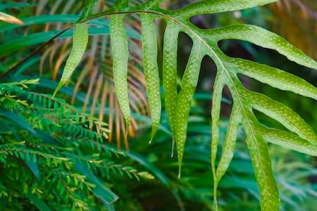 Luxurious Pool View Villa–2 min walking to beach