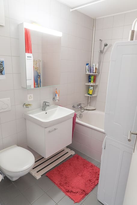 The bathroom with laundy equipments