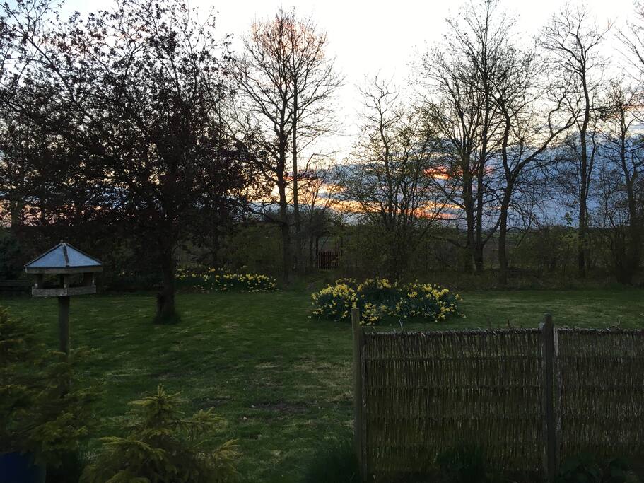 aftenbillede fra terrassen i det tidlige forår