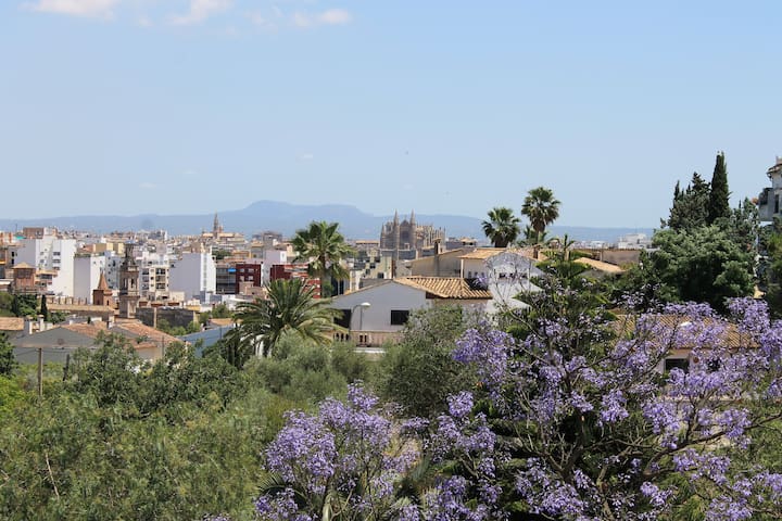 Casa Filipinas, centro Ciudad-ETV-10310 gallery image 3