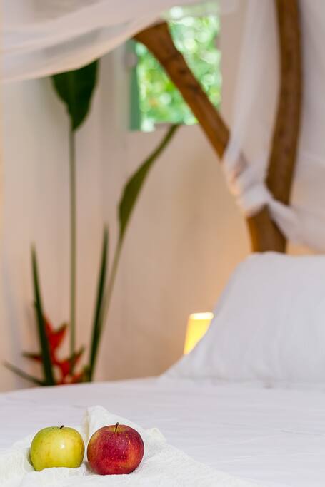 Cama Queen-Size