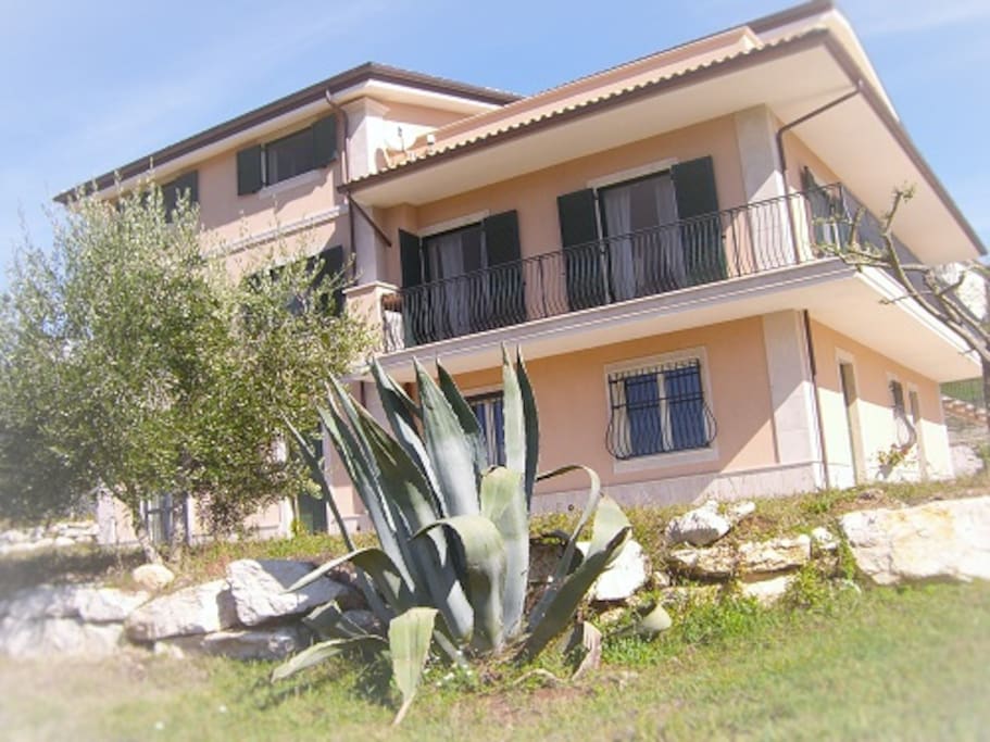 Giardino