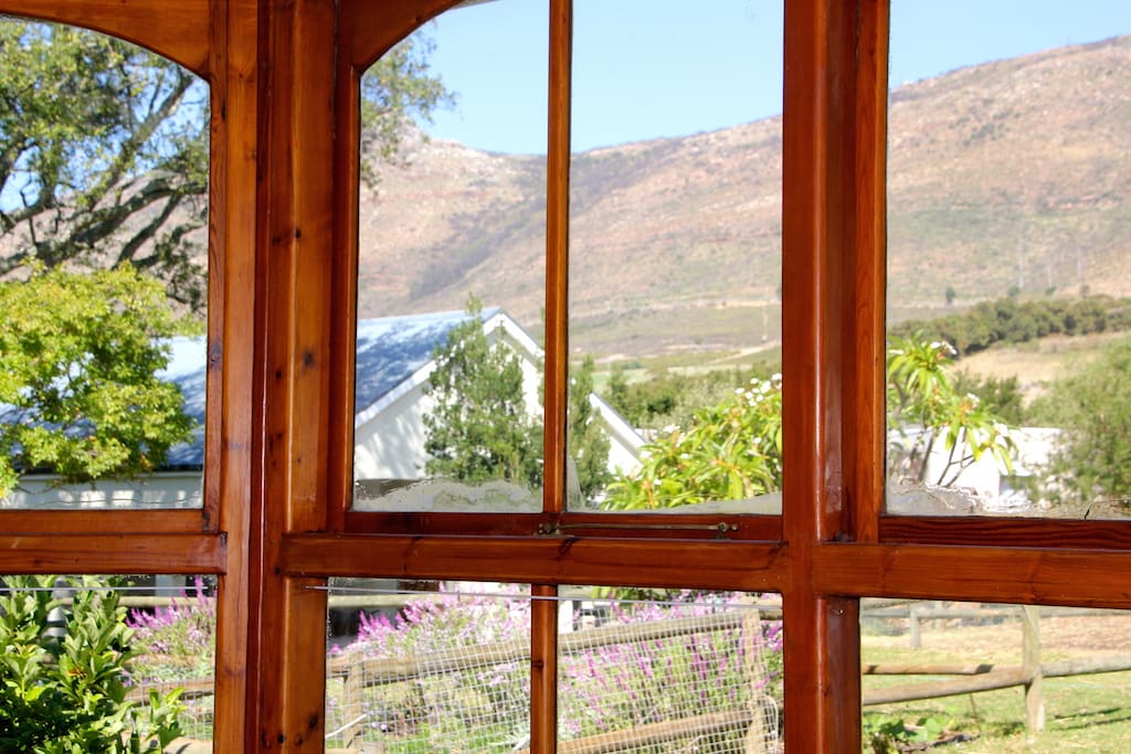 View from Cottage