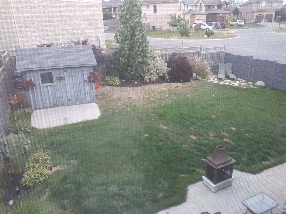 Back Yard