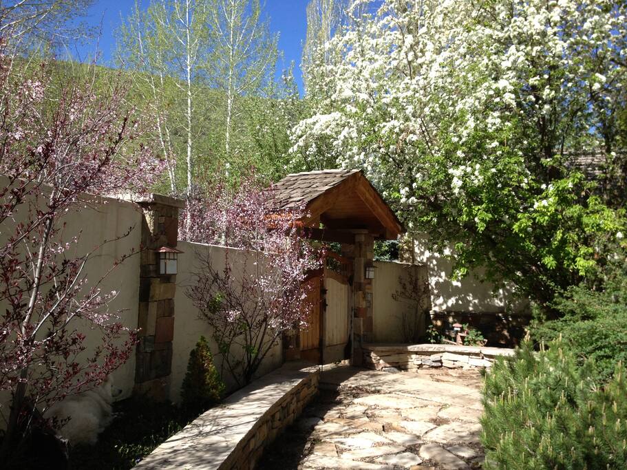 Large Landscaped Courtyard with Flowers