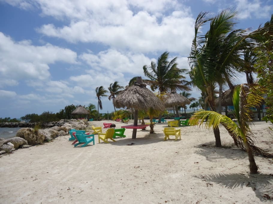 Beach area.