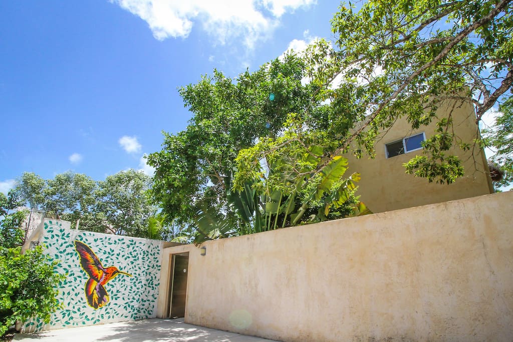 Front of the property, parking spaces for your car