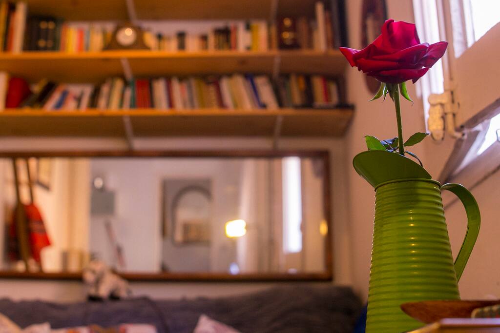 Roses smell so nice.