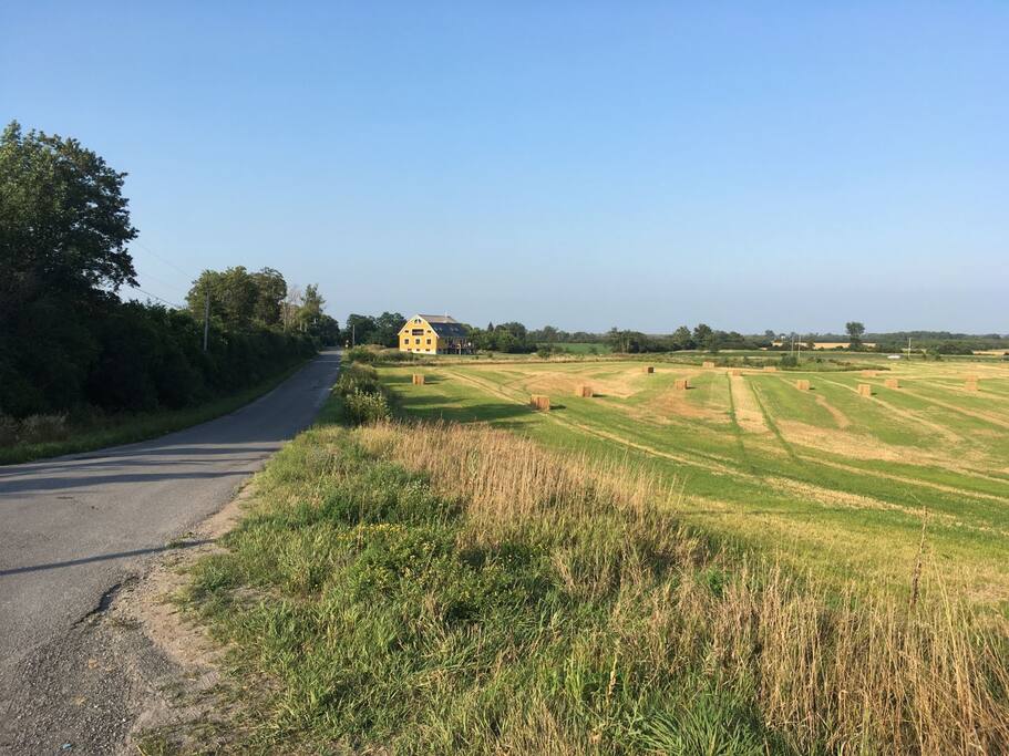 The Big Yellow Barn