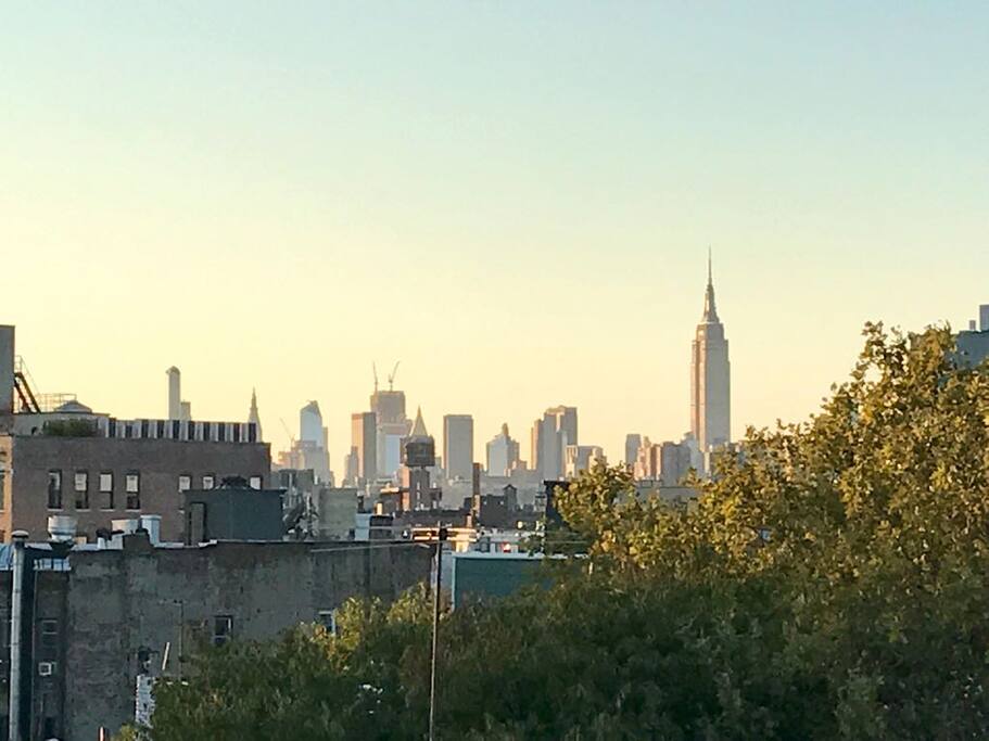 View from the rooftop (empire state building)