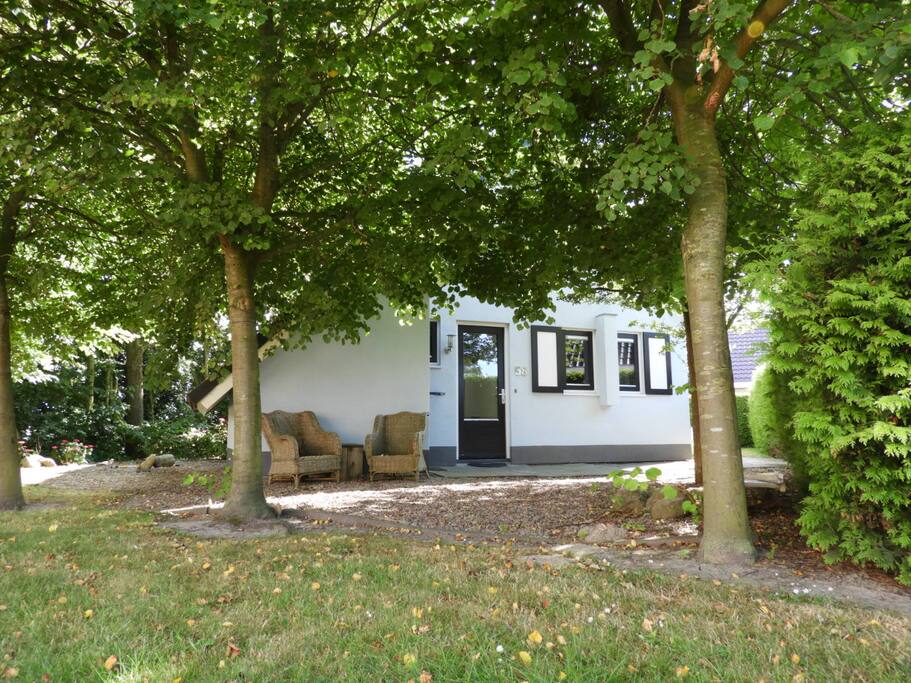 2018, boompjes zijn groot geworden, woning in een nieuwe kleur geschilderd