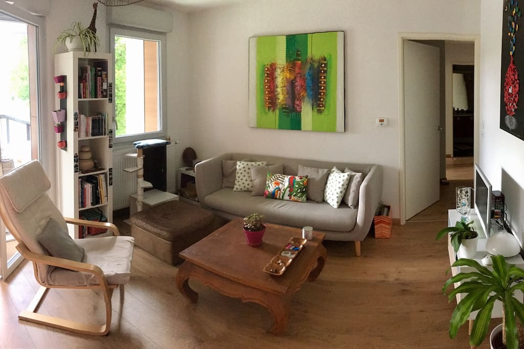 Salon et le couloir donnant accès au reste de l'appartement