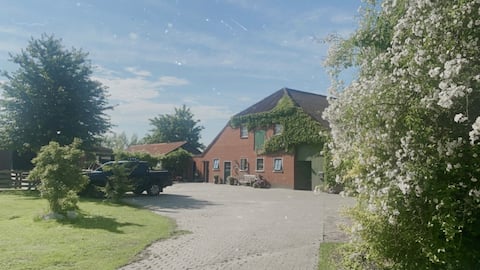 Top Airbnb: Country house "Pfalzdorfer Moorblick" in Aurich