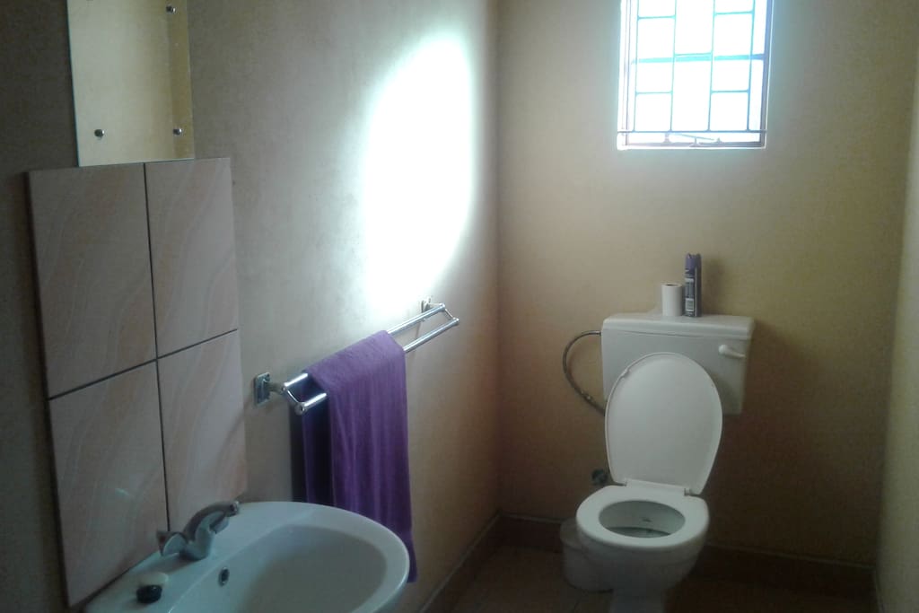 The toilet/bathroom