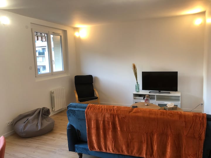 T3 Récemment Rénové / Cosy / Place De Parking - Roanne