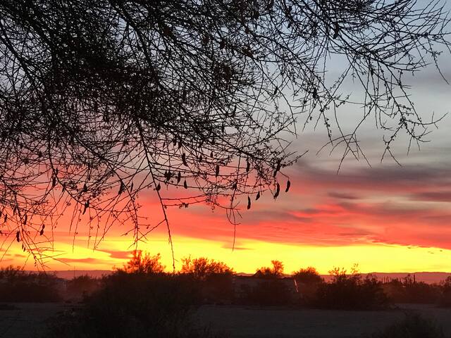 Mojo’s Camp Slab City