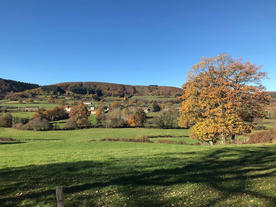 A part of the view from the house -
Une partie de la vue de la maison