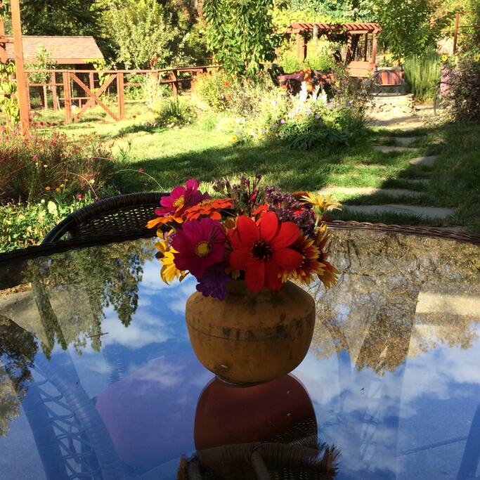 A view from your patio out into the backyard garden (available for your use)