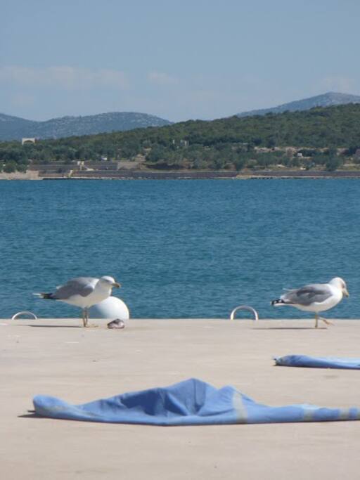 plaža ispred kuće